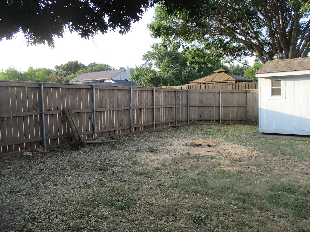 Cleared yard after professional tree removal in New Freeport